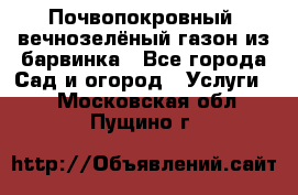 Почвопокровный, вечнозелёный газон из барвинка - Все города Сад и огород » Услуги   . Московская обл.,Пущино г.